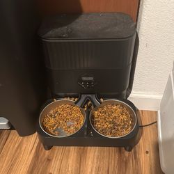 Automatic feeder