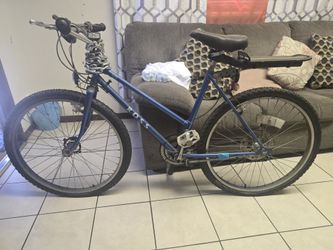 Pink Bayside Bicycle and blue bicycle