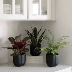 CGH Faux Decorative Plant Trio Indoor Greenery Home Office Decor NEW