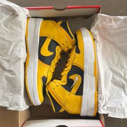 Nike Dunk Highs 