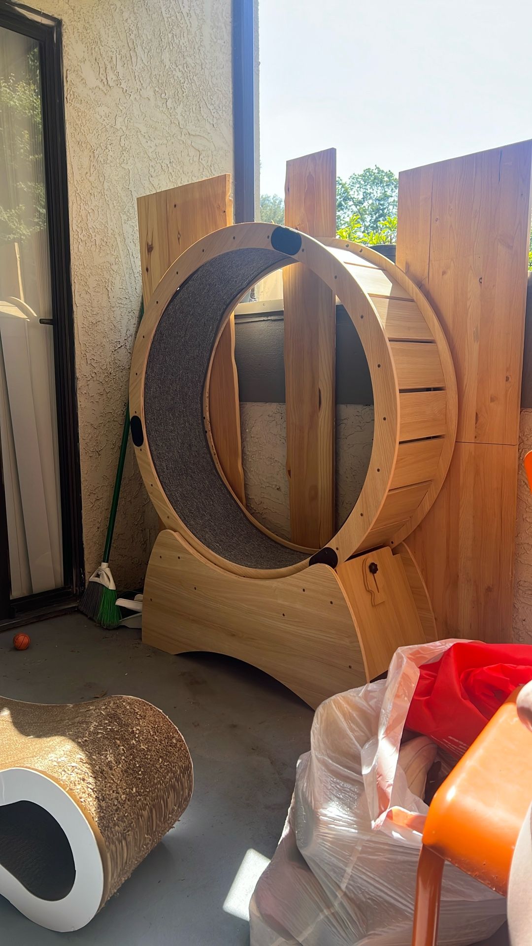 Cat Wheel