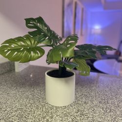 Artificial plant with Pot