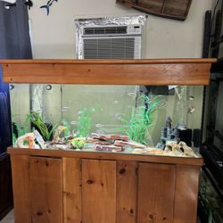 Fish Tank Aquarium 125 Gallon Acrylic 