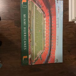Miami Hurricanes Canvas Print