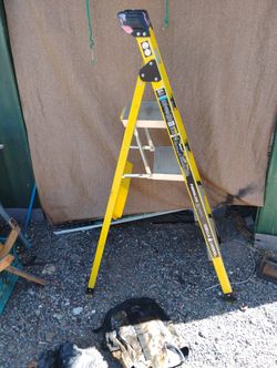 Gently Used Ladder 