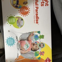 Baby Bouncer 