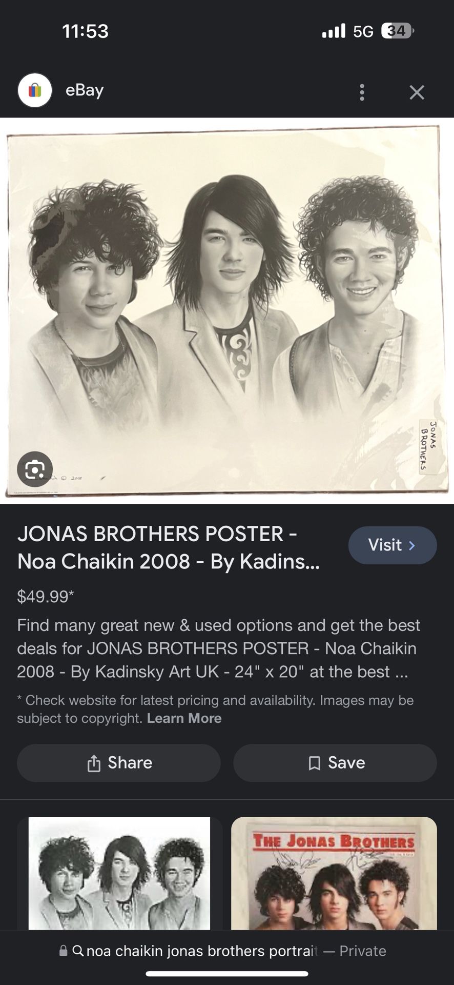 Jonas Brothers Portrait 2008