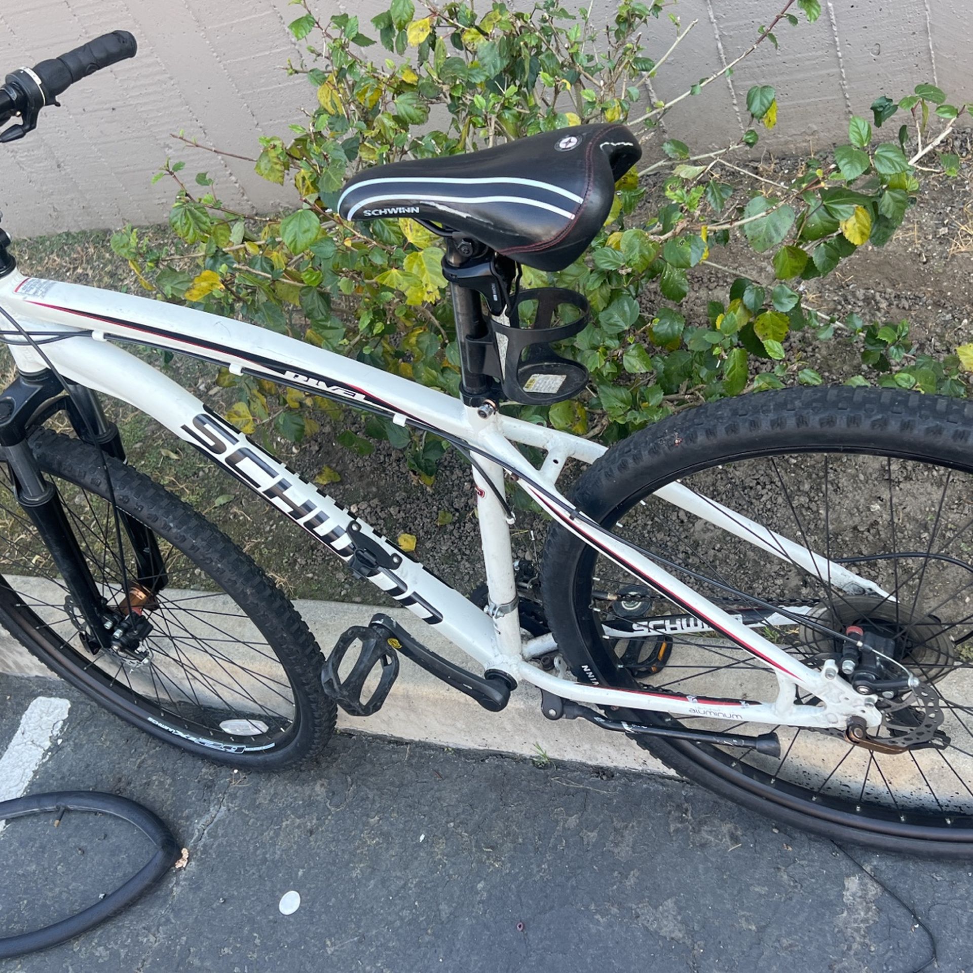 Schwinn Riva 29 Inch for Sale in San Dimas CA OfferUp