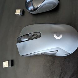 Mouse