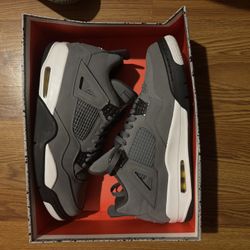 Cool Gray 4s (2019) Size 12