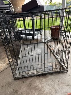 Juala Para Perro