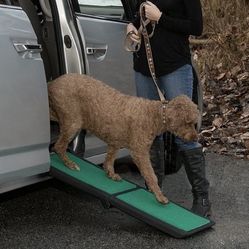 Pet gear, travel, light, bifold, pet ramp
