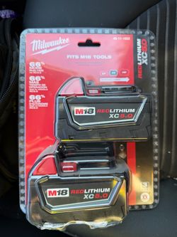 M18 18-Volt Lithium-Ion XC Extended Capacity 5.0 Ah Battery Pack (2-Pack)