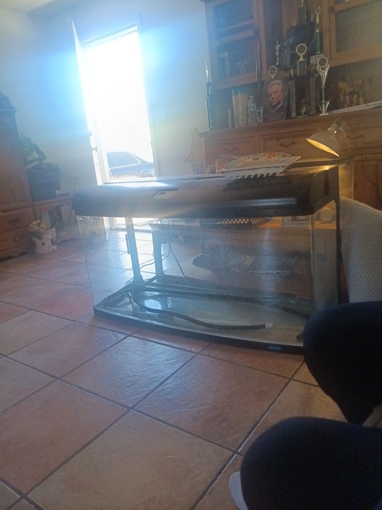 90gal Fish Tank