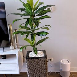 Fake Plant + Wooden Vase