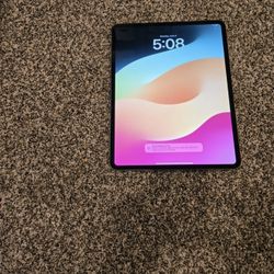 Apple IPad Pro 13” 256GB M4 