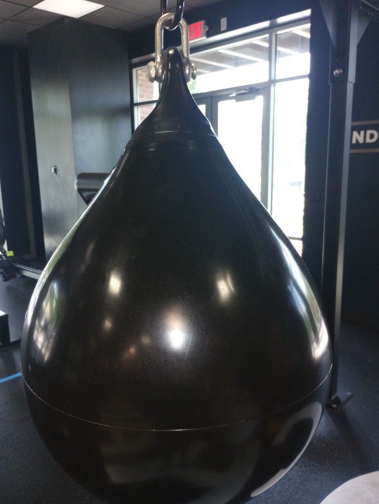 Pro Aqua Mayweather Punching Bag 