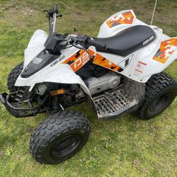 2020 Canam DS90