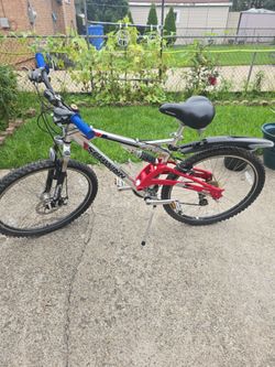 Adult Bike 26in
