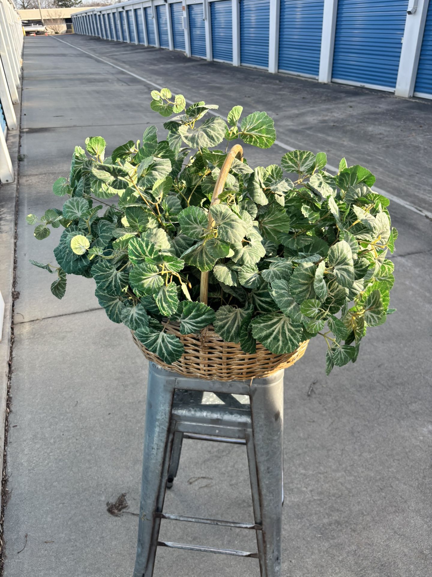 Fake Plant