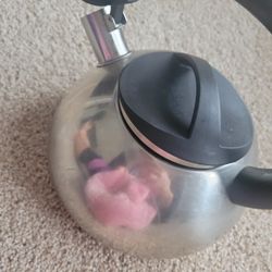 Whistle Tea Kettle