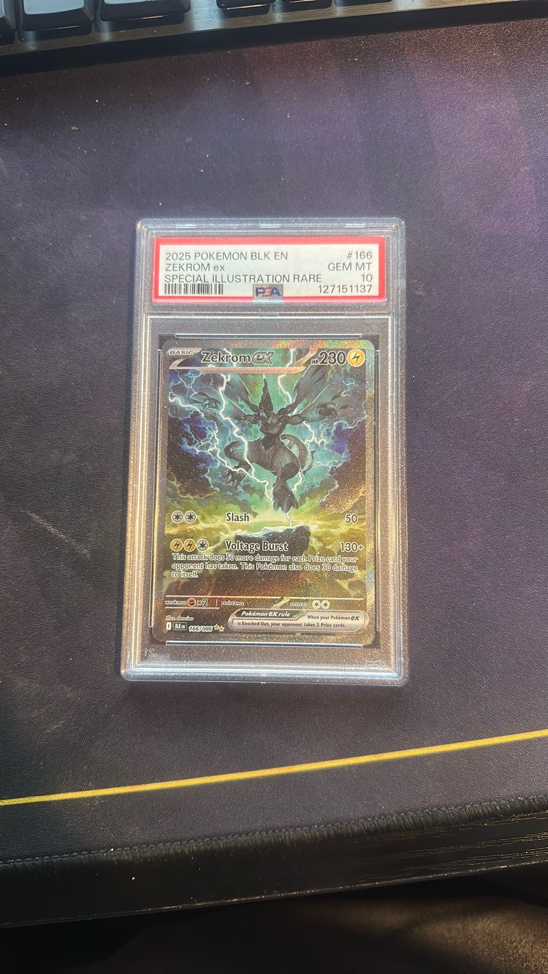 Pokemon Zekrom Ex PSA 10, SIR #166