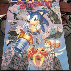 Sonic The Hedgehog- Wall Canvas 