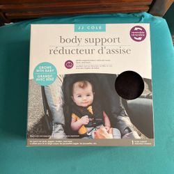 Body/head Support 
