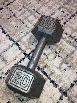 20 lb Cast Iron Hex Dumbbell