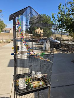 Bird cage and accessories