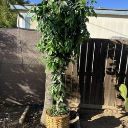 Artificial Decorative Tree  7 feet 