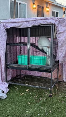 Iron Black Rabbit Cage