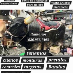 Mechanical Bull //// Toro Mecanico