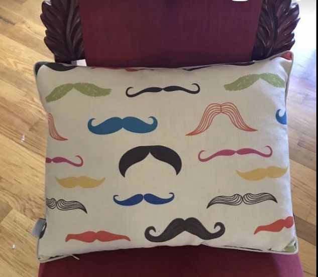 Reversible Pillow
