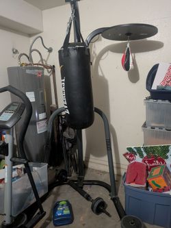Punching bag with stand from Big 5 sporting goods