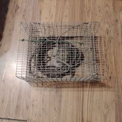 Crawdad Trap