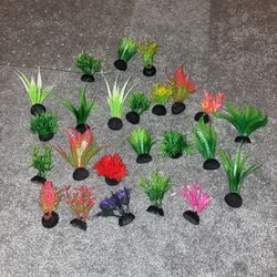 Fish Bowl Aquarium Plants