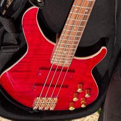 BrownsVille Bass Guitar With Backpack/Case