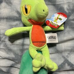 Pokémon Plushes, Treecko, Squirrel, Swinub, Bulbasaur, Charizard