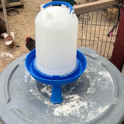 Chicken Waterer With Stand
