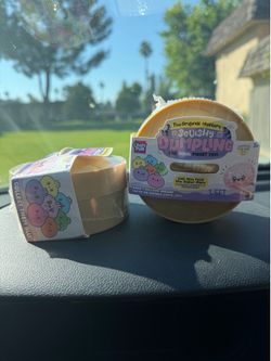 Mystery dumplings