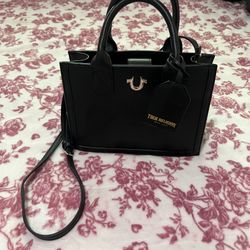 True Religion purse