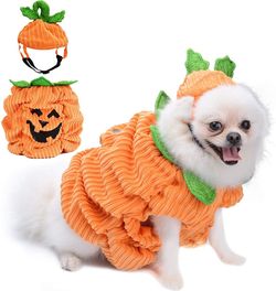 Dog Halloween Pumpkin Costume M