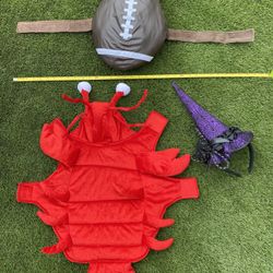 Dogs Costume Medium Size (3 Pieces)