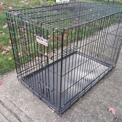 Metal Dog Cage