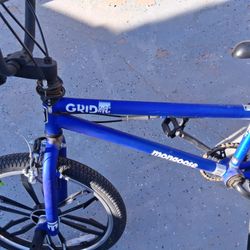  Blue Mongoose Mac BMX Bike