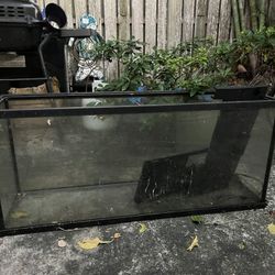 Fish Tank 55gallon