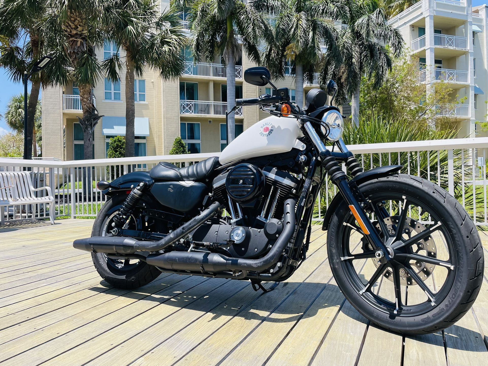 2022 Harley Davidson Iron 883 Only 785 Miles **Yes Financing **