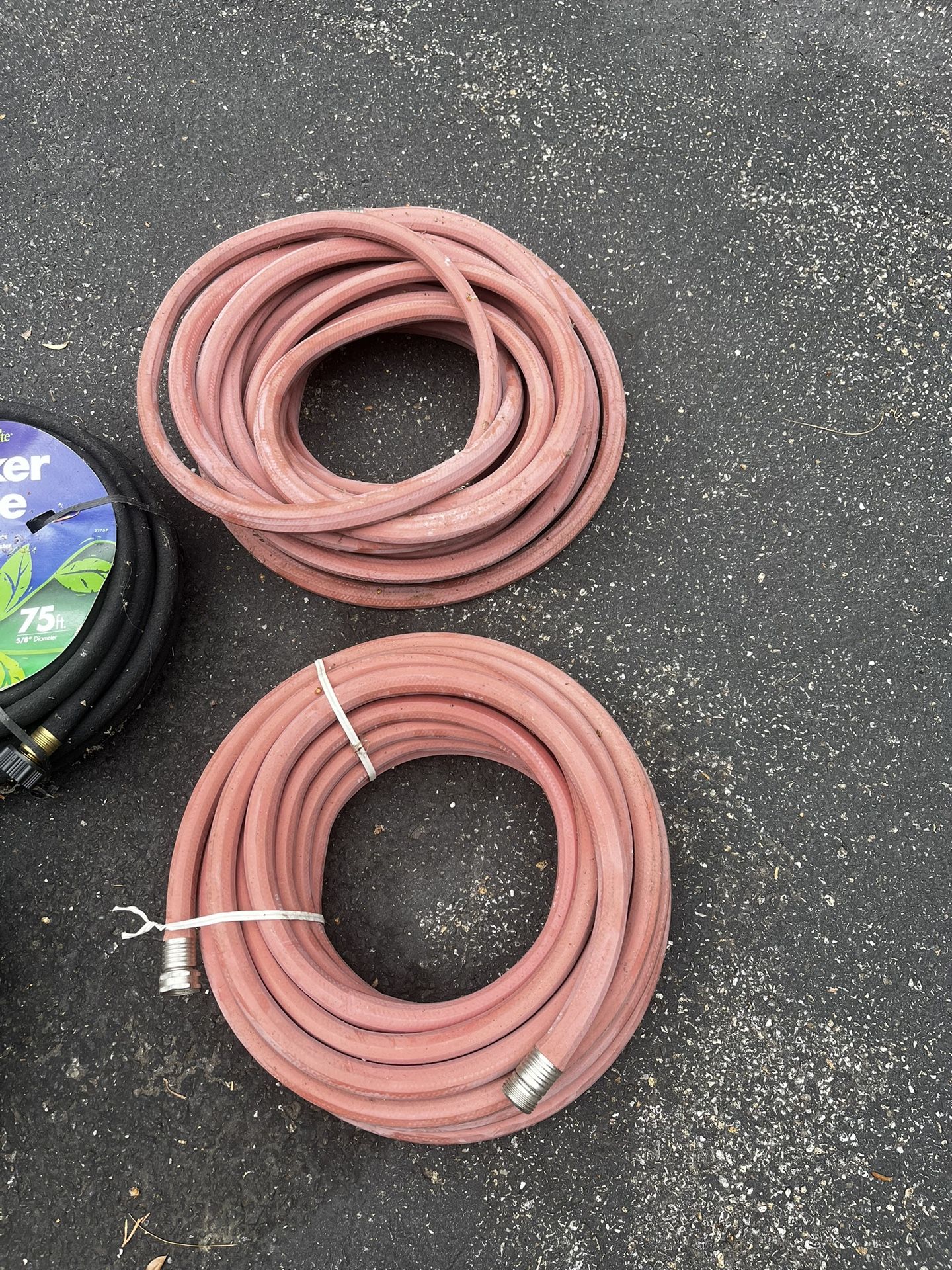 Garden Hose Brand New