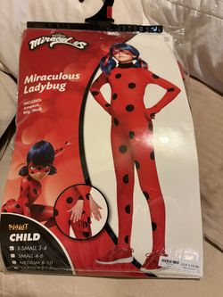 Ladybug Halloween Costume